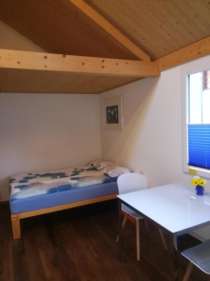 Appartement Montanara à Meiringen Extérieur photo