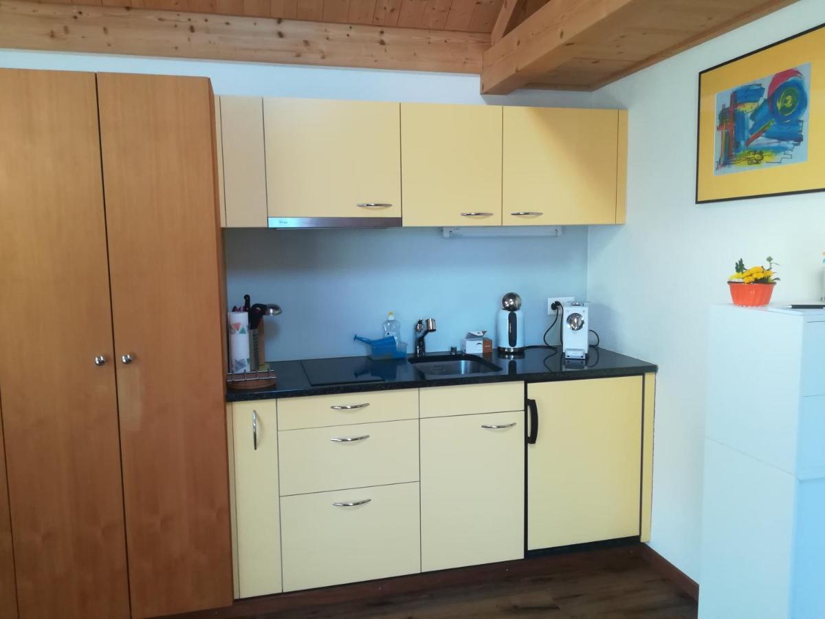 Appartement Montanara à Meiringen Extérieur photo